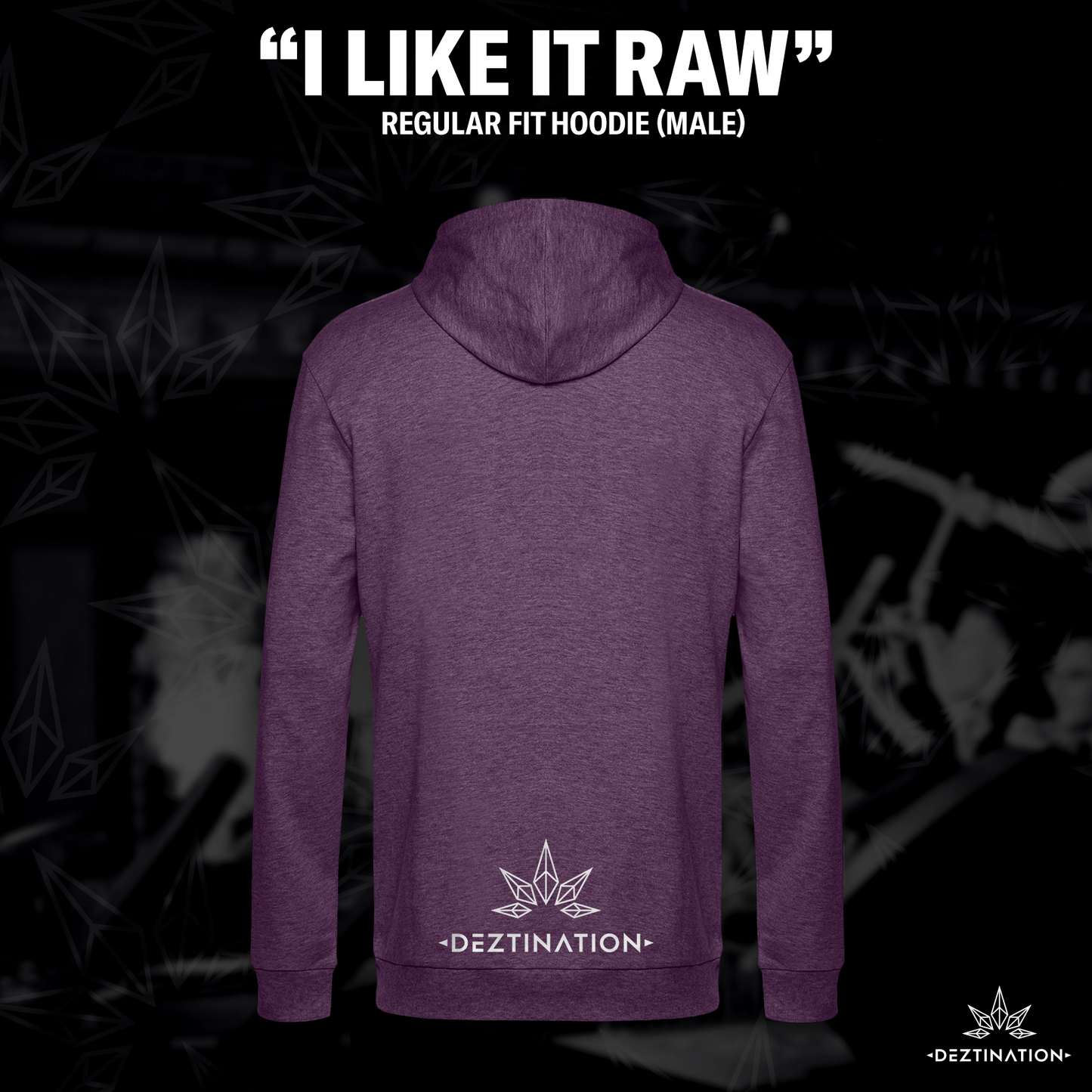 I Like It Raw Hoodie (male)